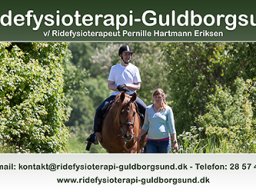ridefysioterapiGuldborgsund_kontakt_web